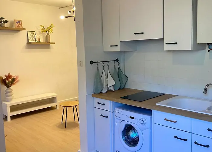 Apartment Grand Neuf, Lumineux Et Au Calme ! Equipe - Ajaccio (Corsica)